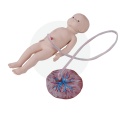 Umbilical Cord Nursing Simulator(Female)