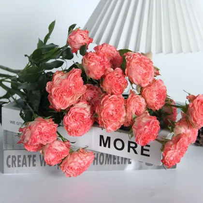 2022 Newest Wholesale Fresh Cut Flowers Spray Head Roses for Home Decoration