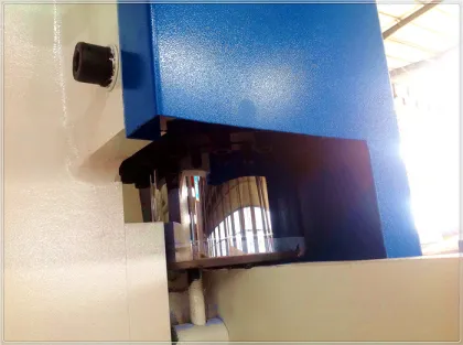 CNC Press brake with Estun e210 Cnc control system