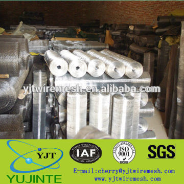 galvanized wire window screen In Rigid Quality Procedures(Manufacturer/Factory in China)