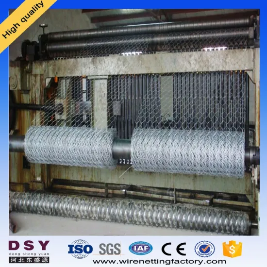 Galvanized Twist Hexagonal Wire Mesh for Box
