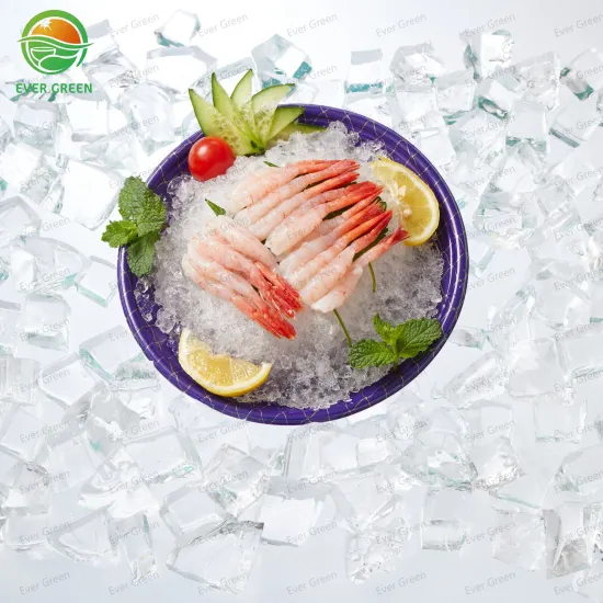 Disposable Sashimi Sushi Plastic Plate