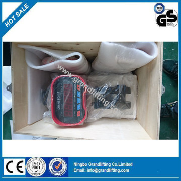 Professional Export Digital Hanging Weighing Crane Scale