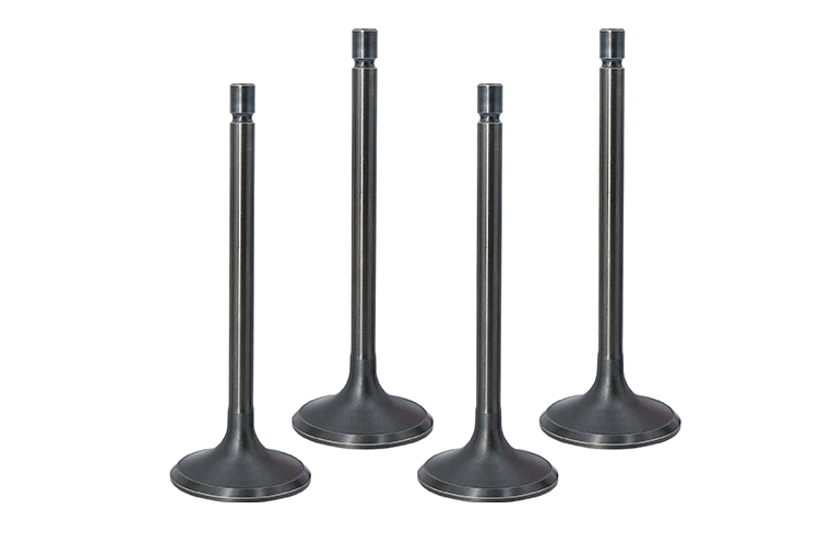ISUZU 4JG2 Engine Valves 