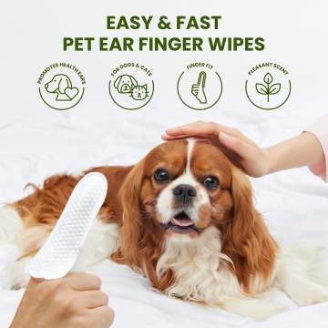 Premium Finger Cots for Pet Dental Hygiene