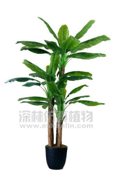 S91906-18 artificial large indoor bonsai banana tree products