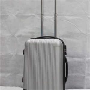 Abs Spinner Luggage