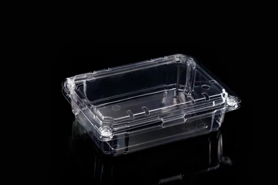 Plastic Transparent Clamshell Packaging