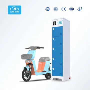 Swapping Station with Sharing Electric Vehicle