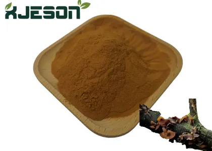 Natural Chaga Mushroom Extract