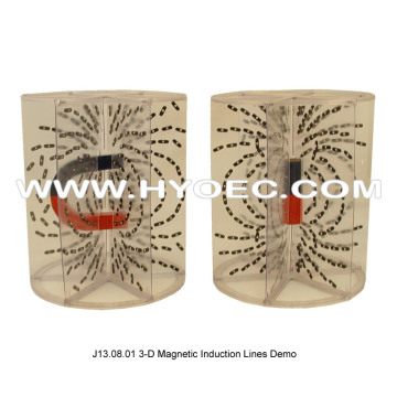 3-D Magnetic Induction Lines Demo-J13.08.01