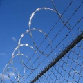 Hot Dipped Galvanized Razor Wire Coil Security Fencing