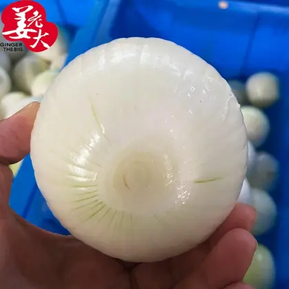 Fresh Peeled Yellow Onions