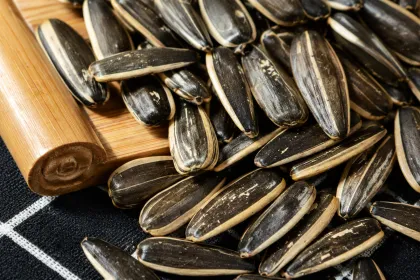 Plain Sunflower Seeds