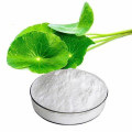 Asiaticoside for Moisturizing Raw Materials