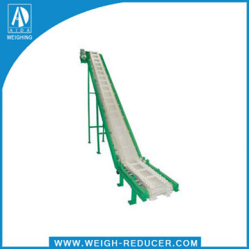 Elevating Conveyor