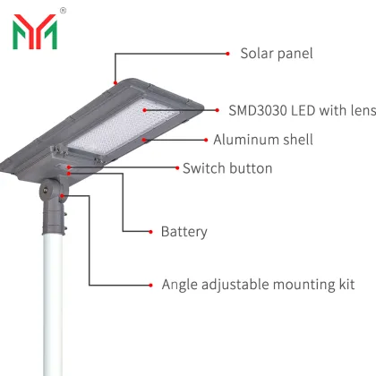 Solar Integrated Street Lights and High Pole Induction Street Lights for Rural Areas