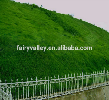 High Quality Bermuda Grass Seeds For Sale