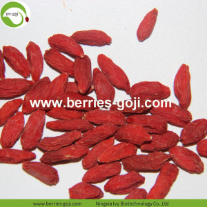 Factory Wholesale A Grade Fruit Wolfberries