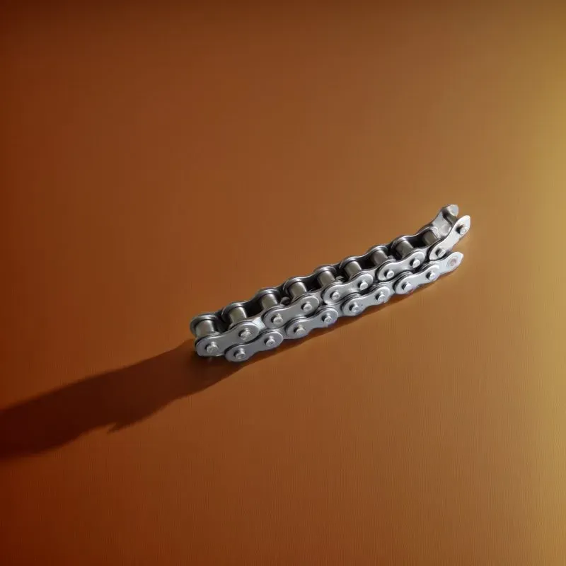 Durable Stainless Steel Roller Chain for Sugar Mill and Agricultural Conveying