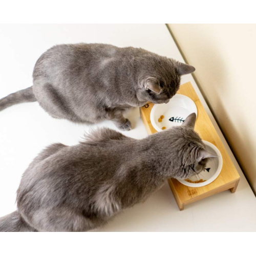 Mesa de mascotas de bambú elevada con dúo.