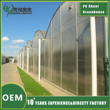 Polycarbonate Greenhouse Without Shade Systems