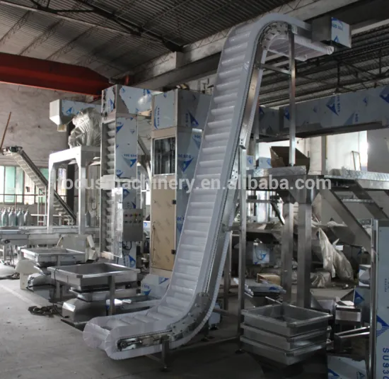 conveyor belt system for packing machinery
