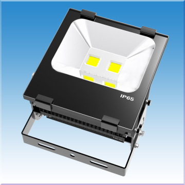 100 واط LED LED مع IP65