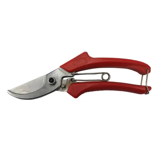 Efficient Garden Scissors vs. Traditional Grip Pruning Shears: A Comparative Guide for Enhanced Pruning Experience