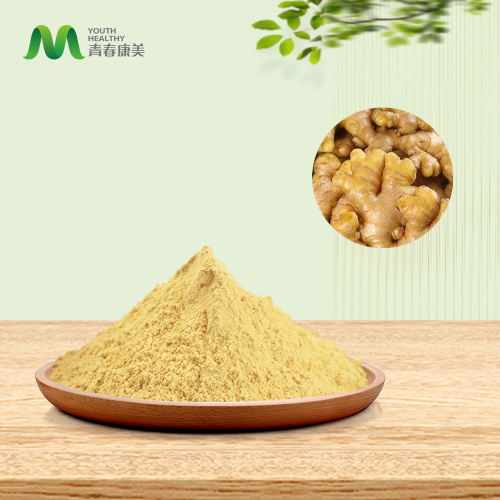 100% чисти органски ђумбир у праху | нема адитива