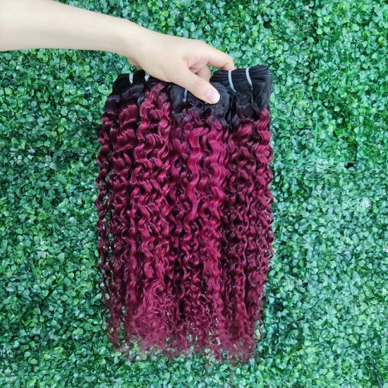 1B 99J Brazilian Natural Human Hair Bundles PreColored Highlight Hair Bundles 1b 27  1b 30  Human Hair Bundles with Lace Closure