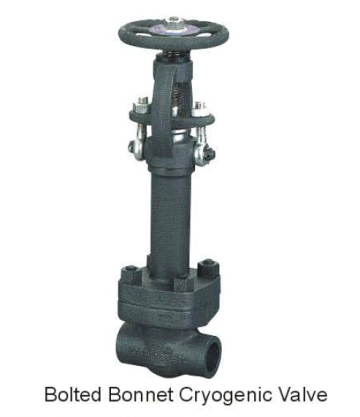 Forged steel cryogenic valve