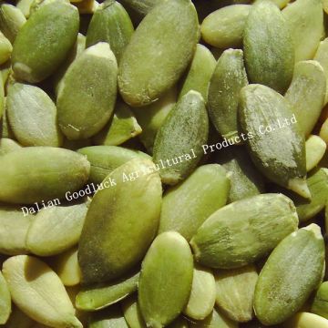 Green Shine Skin Pumpkin Seed Kernels wholesale