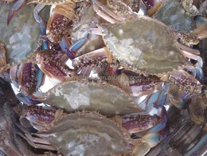 Portunid Crab Feed: Pellet Nutrition Solutions