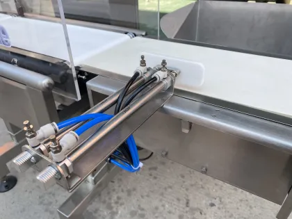 Check Weighing Machine Automatic Conveyor Check Weigher