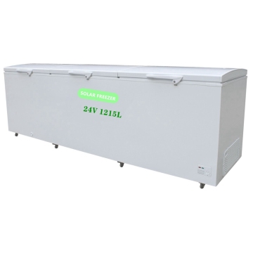 Good Quality OEM Solar and Battery Powered 12V/24V DC Refrigerators and Freezers: BD-165