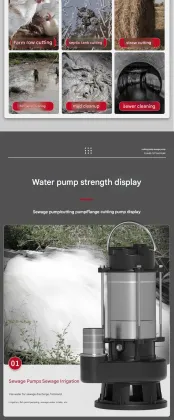 2 Inch Stainless Steel Submersible Sewage Pump with Aquaculture Aerators