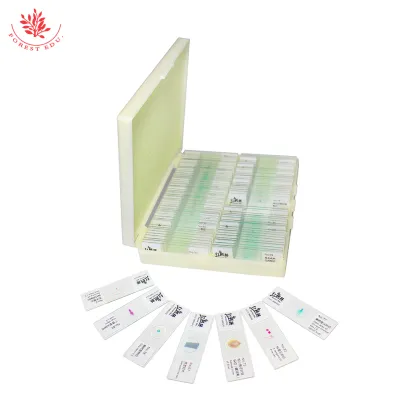 Botany Histology Laboratory Slides: FRT2004 Teaching Aids - 100 Kinds of Plant Microscope Slides