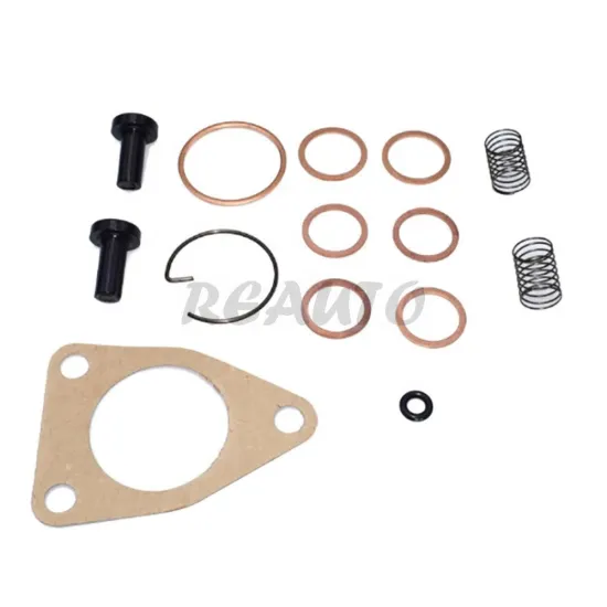 DAF/Renault/Scania Feed Pump Repair Kit - OE 2447010004 0609935