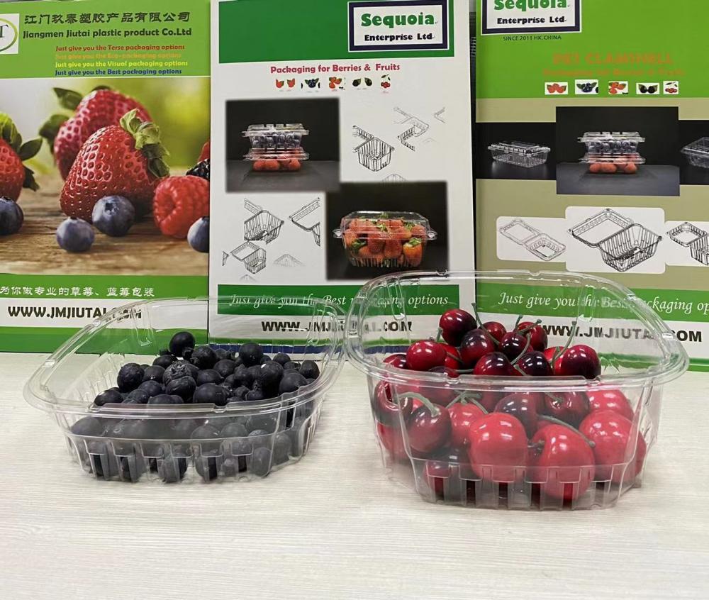 Best quality hot sale chinese Blueberry Tub