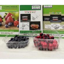 Best quality hot sale chinese Blueberry Tub