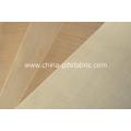 Porous PTFE fabric with rough surface