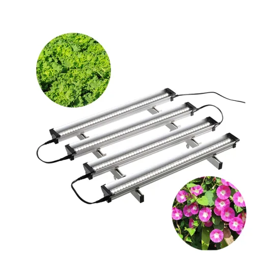 Shenzhen New Clone EDK 6400K Full Spectrum LED Grow Light for Indoor Plants