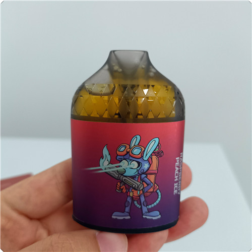 R&amp;M Bar 9000 Puffs Disposition Vape descartável