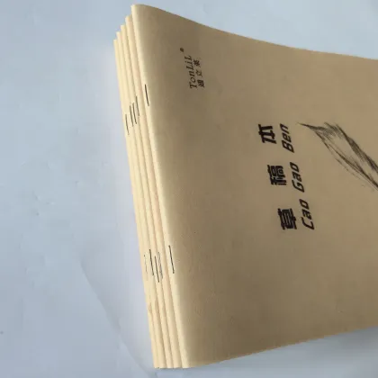 260x180mm Calculus Student Notebook: Art and Notes Combined