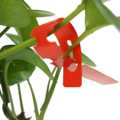 Hot Selling Plastic Garden Markers & Nursery Tags