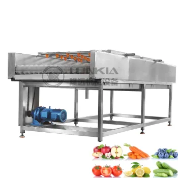 Prickly Pear Fruit Washing Polishing Cleaning Machine by LONKIA