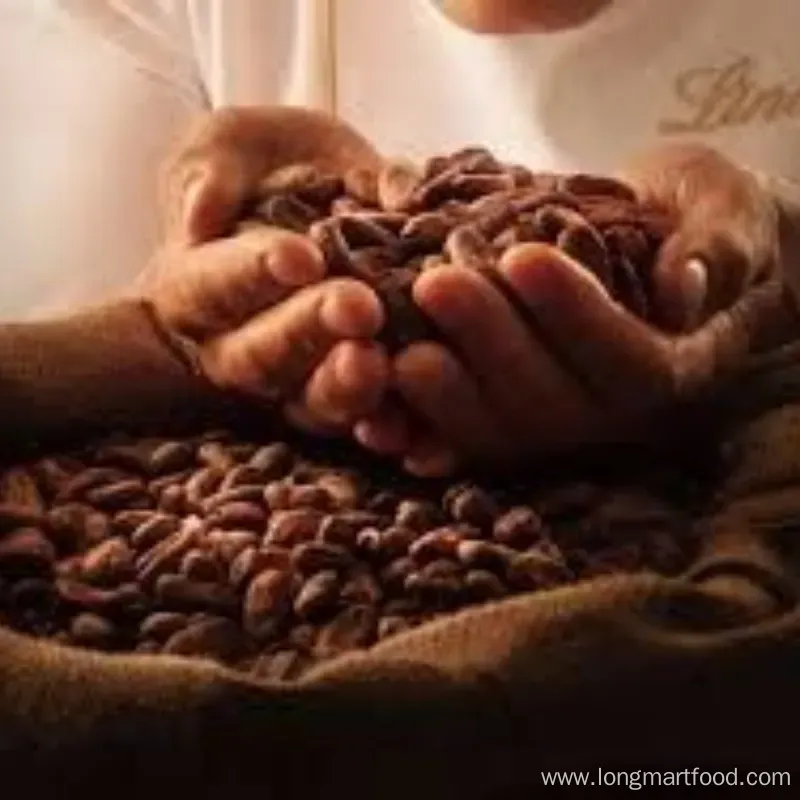Energizing Premium Arabica Green Coffee Bean Cocoa Mix