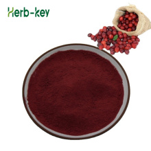 Natürlicher Bilberry -Extrakt -Bilberry -Extrakt -Anthocyanidine