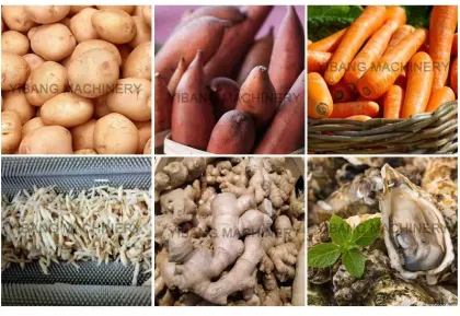 Pecan Washing and Vegetable Cleaning Machines